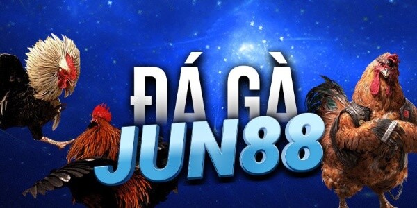 Những thông tin cần biết về bồ gà C3 Thomo Campuchia 5 Đá gà Jun88 cũng được nhiều anh em lựa chọn