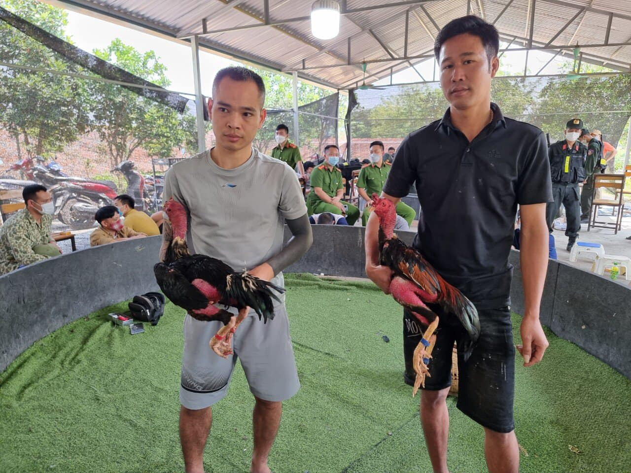 Cách bắt gà đá không kêu cực chuẩn 8 Bắt gà bằng thanh đẩy